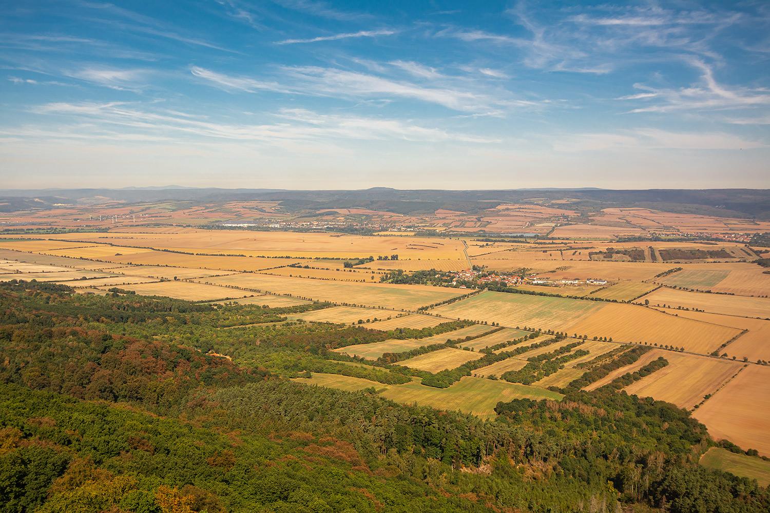 Blick über die Goldene Aue