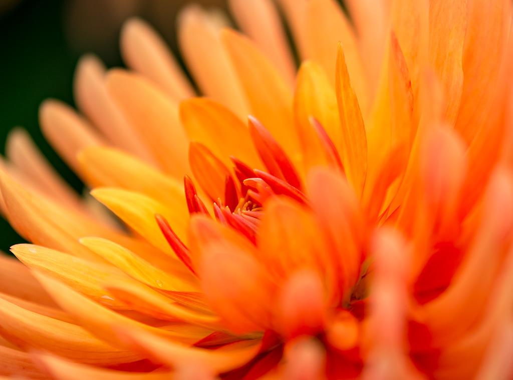 Gelb-Rot-Orange