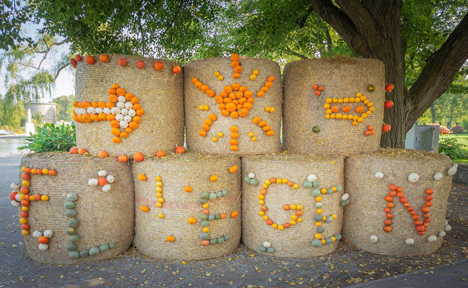 Kürbisausstellung egapark Erfurt 2018