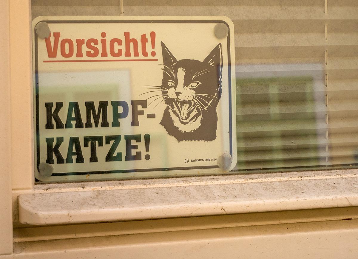 Vorsicht Kampfkatze
