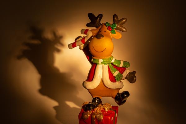Elchtanz auf Geschenk