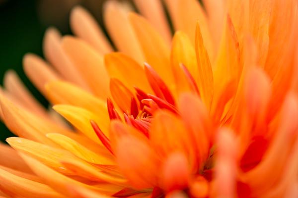 Gelb-Rot-Orange