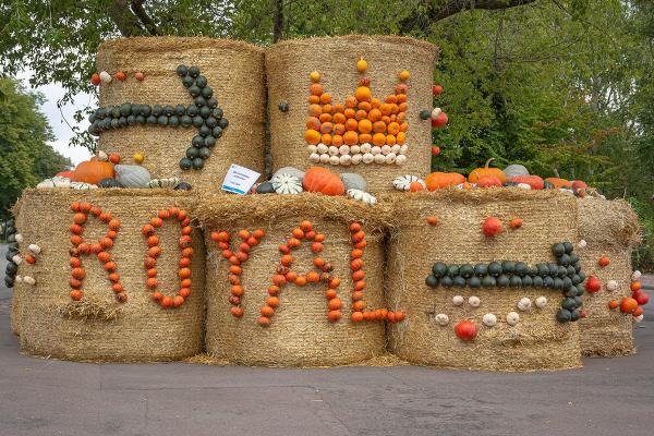 Kürbisausstellung egapark Erfurt 2017