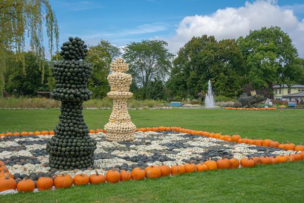 Kürbisausstellung egapark Erfurt 2017 - Schach