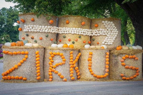 Kürbisausstellung egapark Erfurt 2019