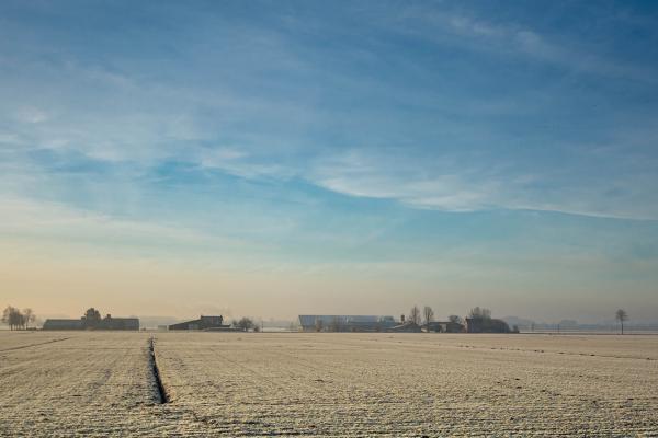 Landleben am Morgen - Niederland